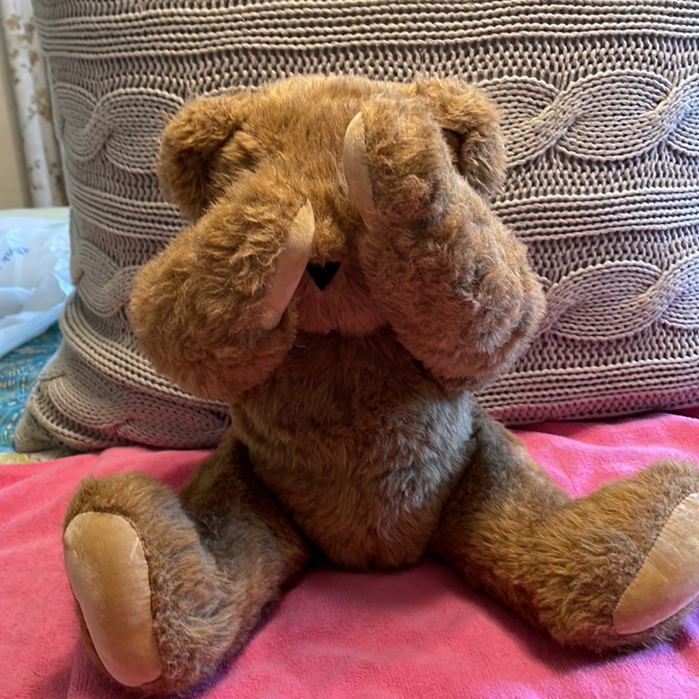 Vermont Teddy Bear - Picture 10 of 11
